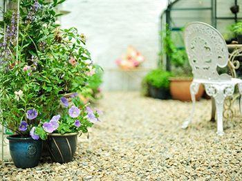 Guest house The Shepherd's Purse 3*