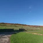 Owl Barn