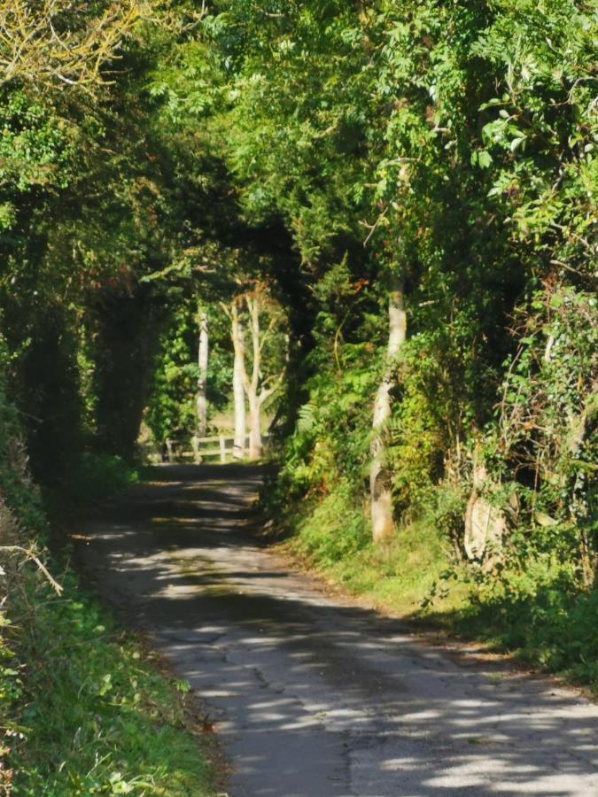 Holiday home Grosmont Cottage, Ruswarp *