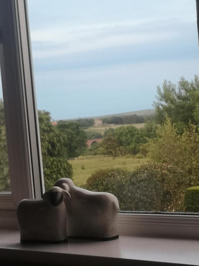 Greystones Guest house *