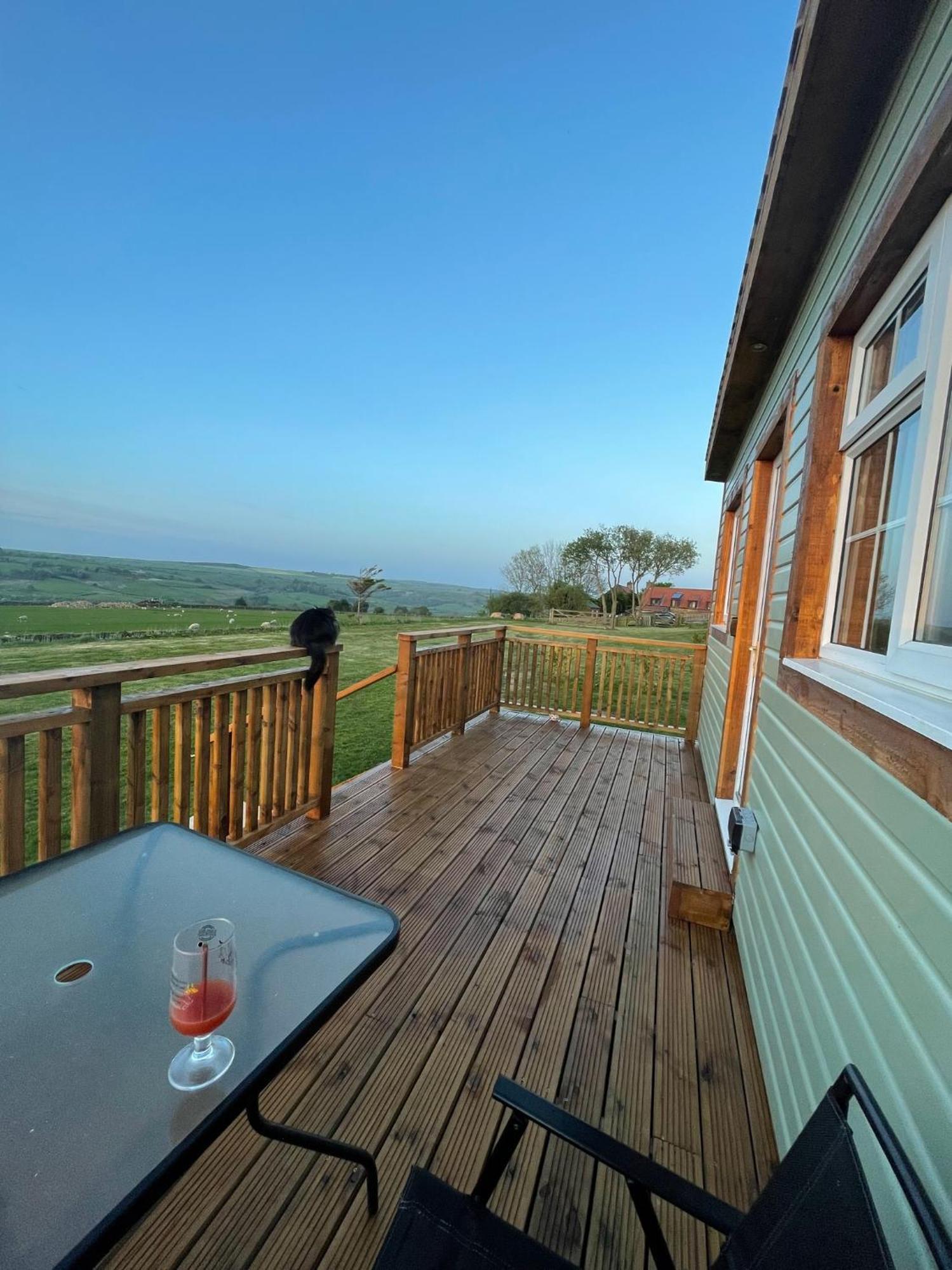 Chalet Keepers Shepherd Hut With Hot Tub Whitby