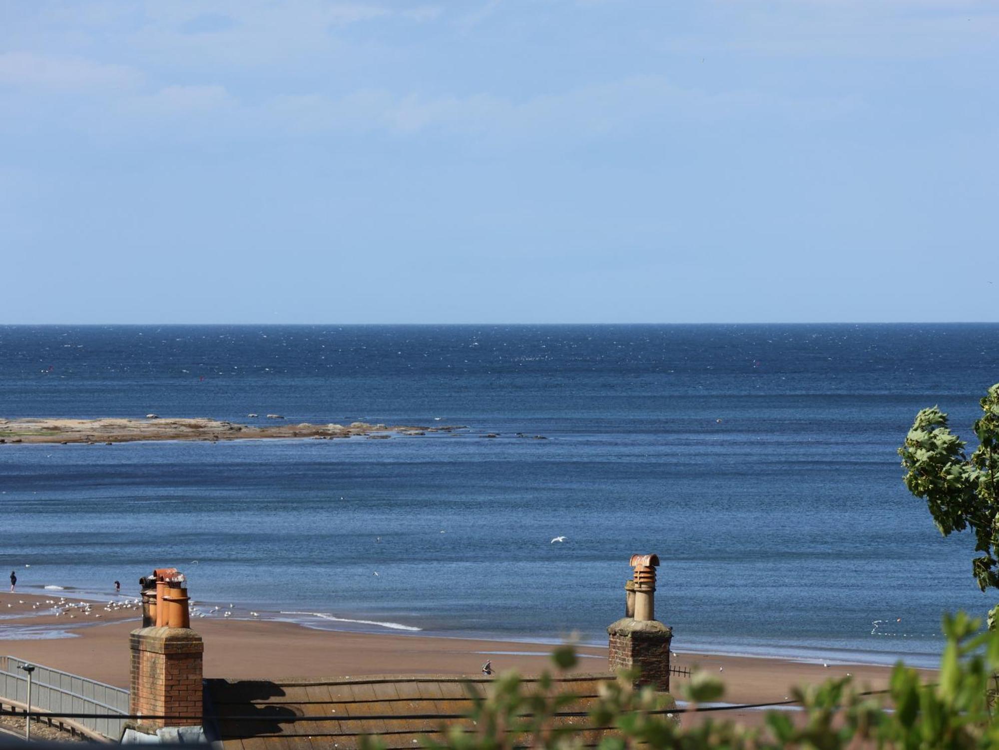 Wagtails * Whitby
