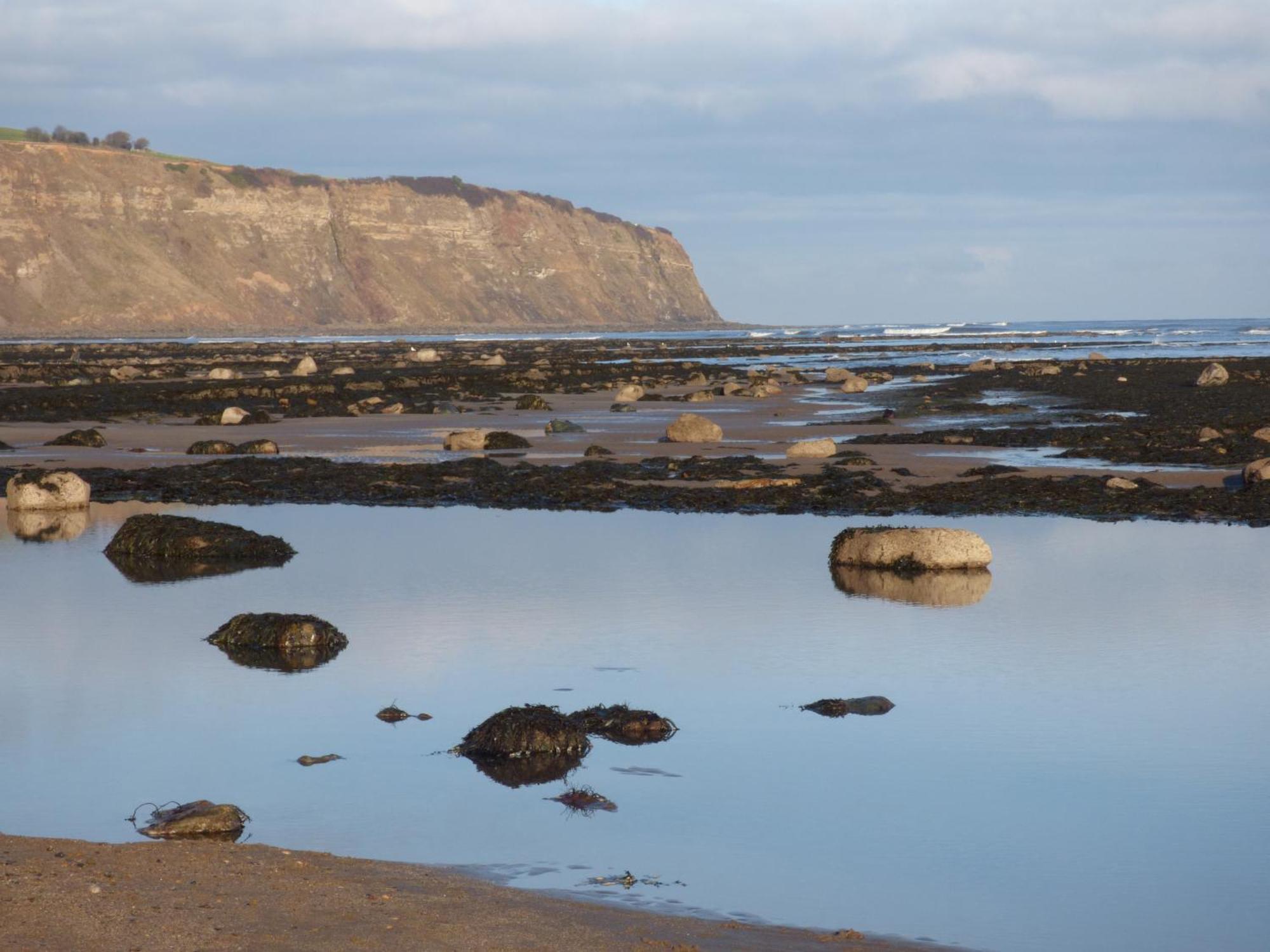 Roseberry Whitby