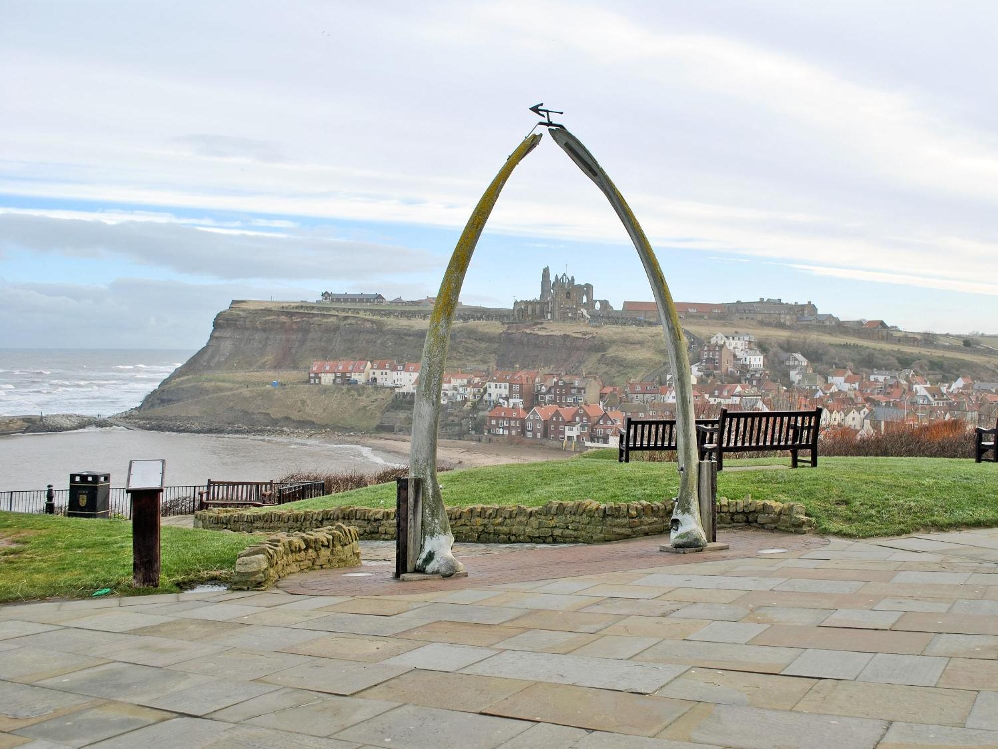 Belle Vue Holiday home Whitby
