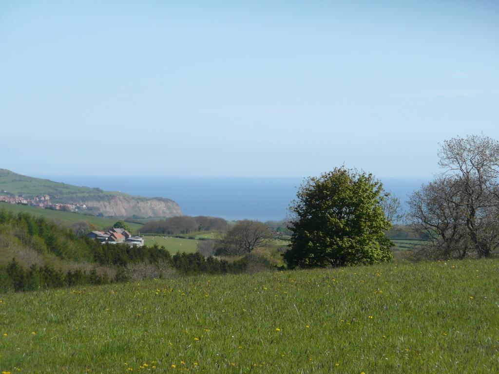 Meadowbeck Holiday