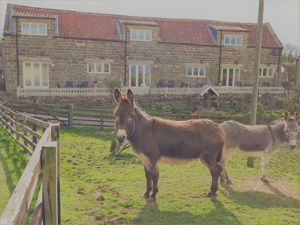 Holiday home Meadowbeck Holiday *