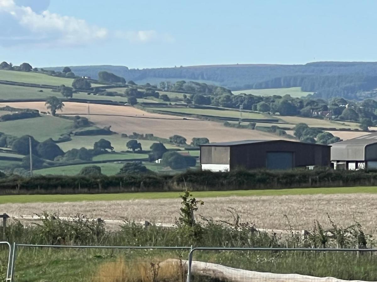 Dairy * Whitby