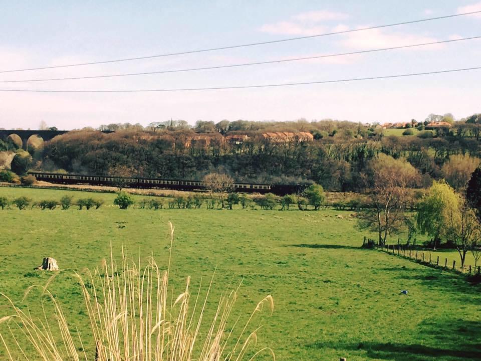 Glen View Bed & Breakfast Whitby