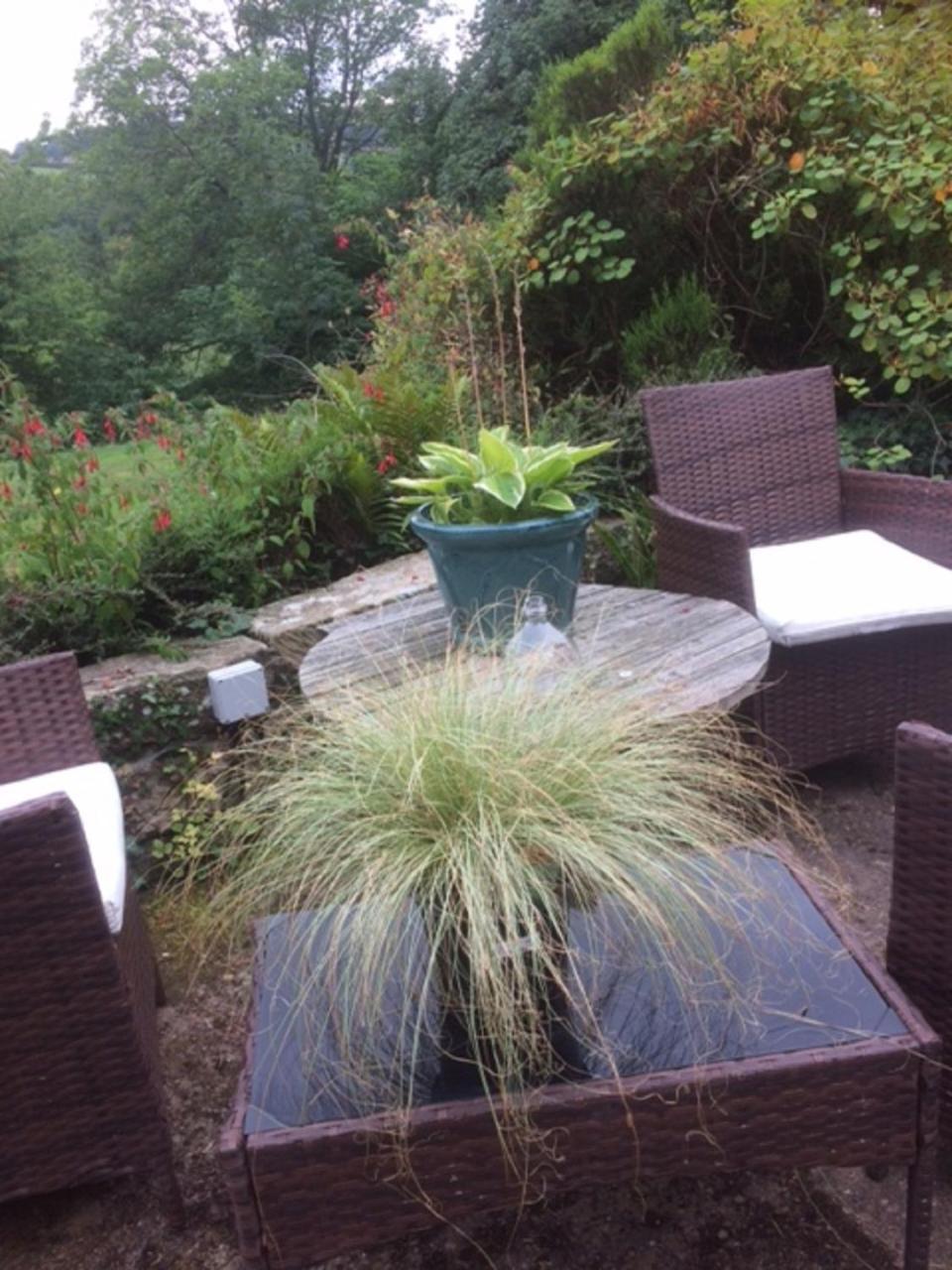 Bed & Breakfast Groves Hall Whitby