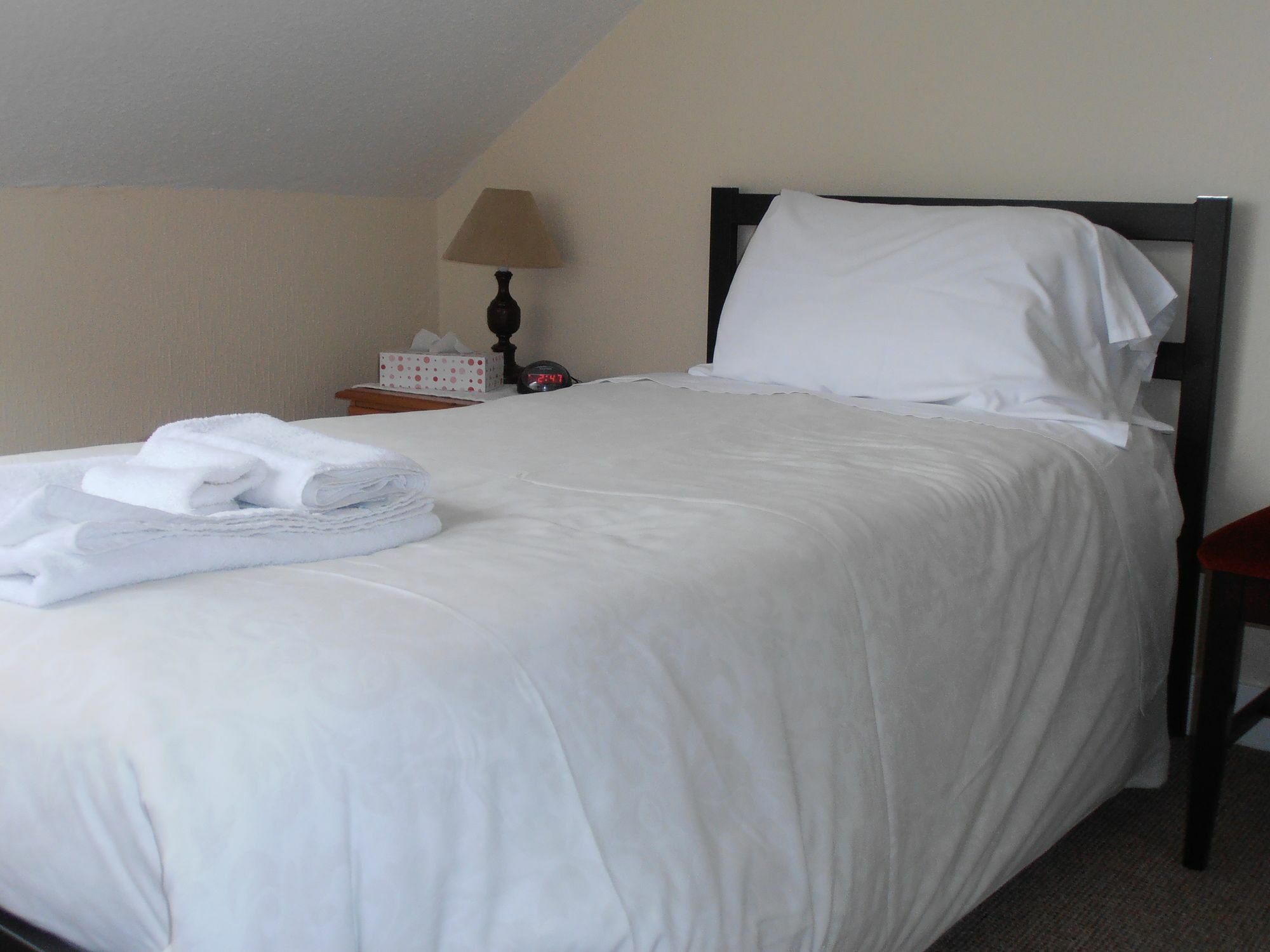 Guest house The Europa Whitby