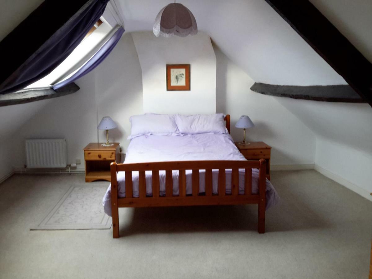 Lupine Holiday home